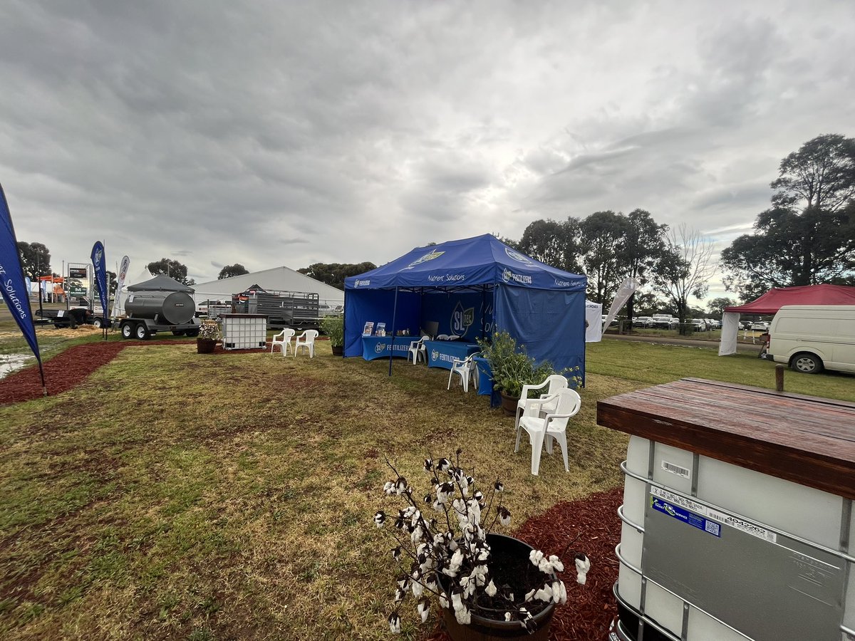 50mm of rain and the site is great. No rain expected today or tomorrow. #elmorefielday