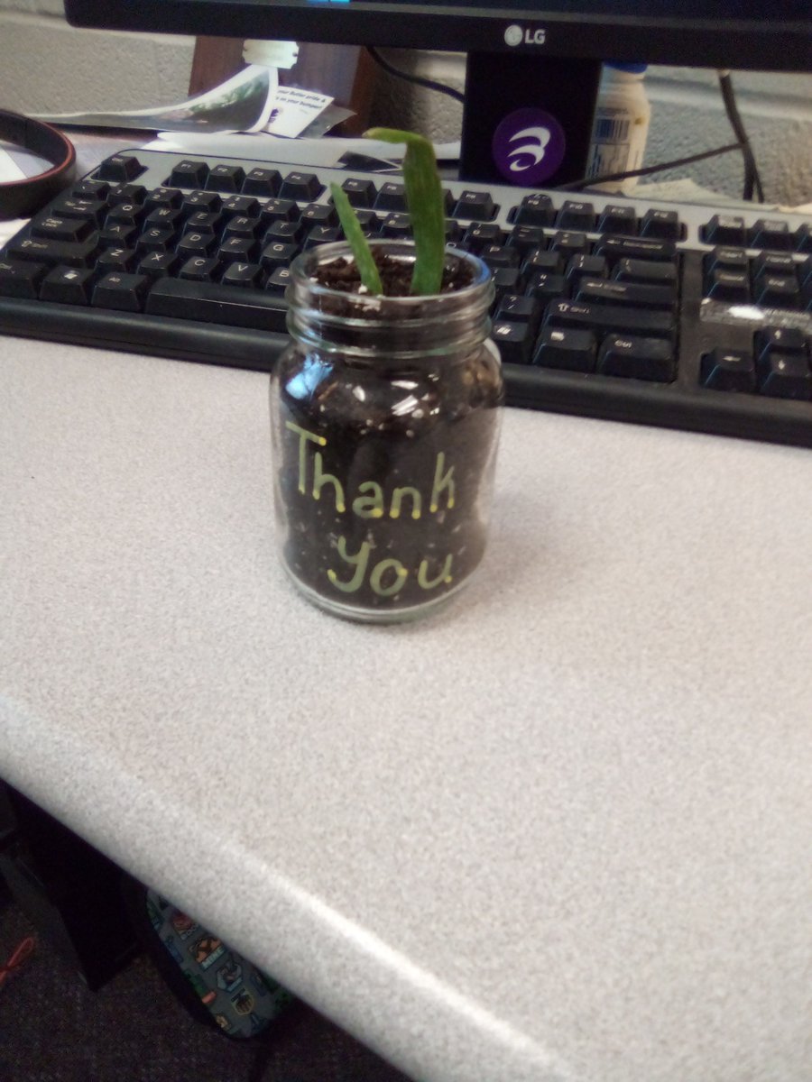 Last week, I'd extended some grace to a student in need of it, and today they left this on my desk with a note reading, 'Thanks for aloe-ing me to grow!' All I can say is, I'm glad I didn't have to teach this afternoon, because the room got very dusty there for a while.