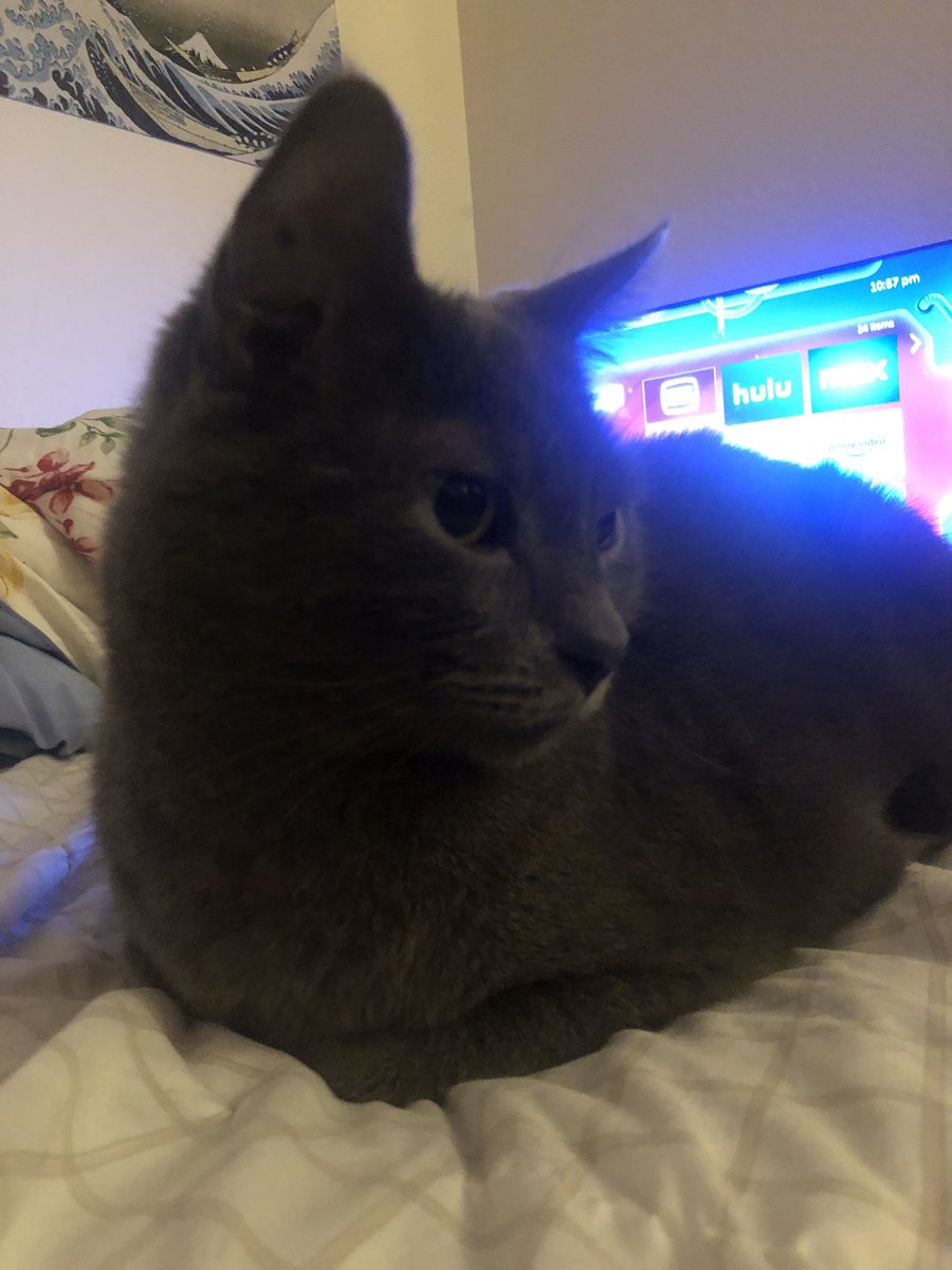 My baby loaves 🍞❤️