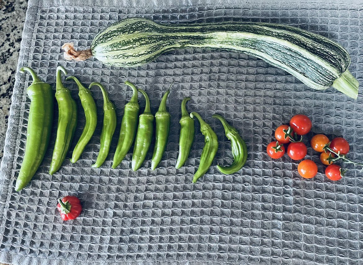 This week’s garden harvest. #FallHarvest in the #NapaValley