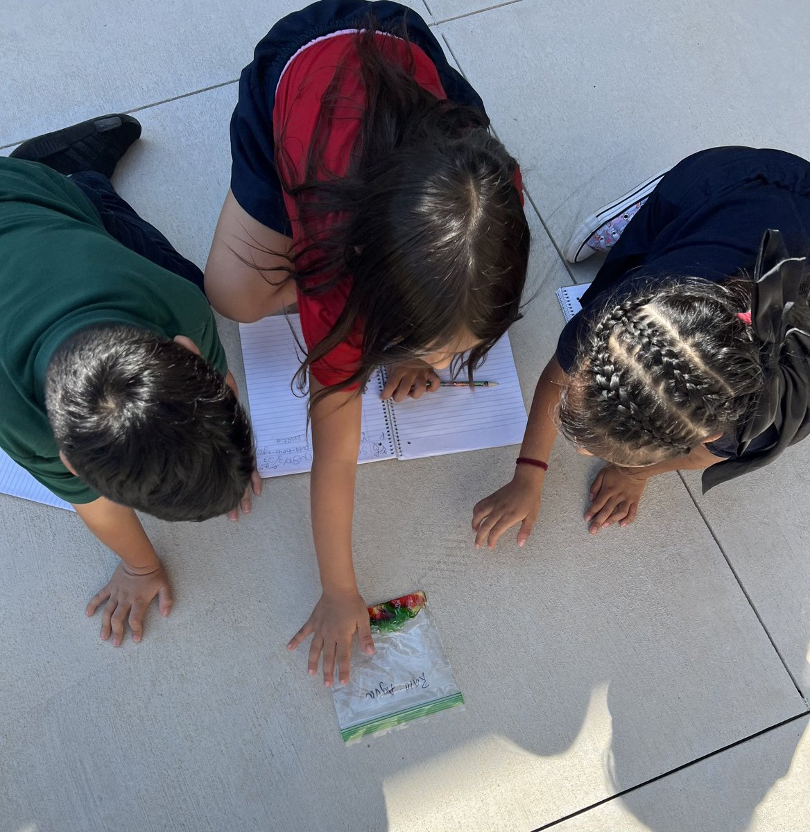 Clarisa Cruz tweet media