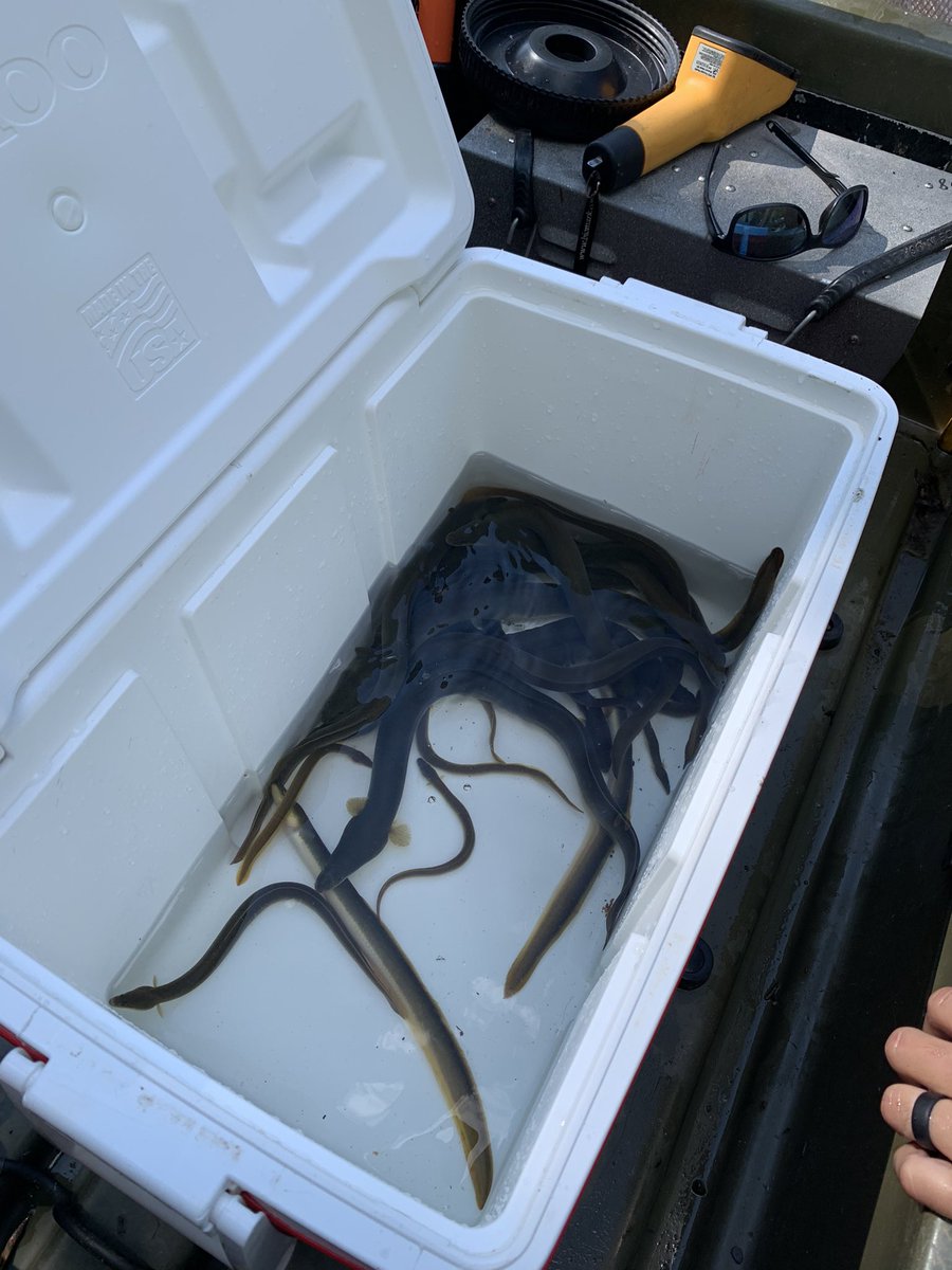 Luanne Steffy tweet media