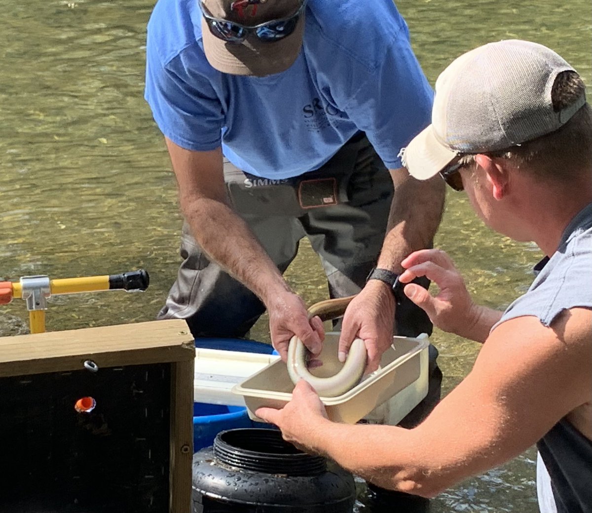 Luanne Steffy tweet media