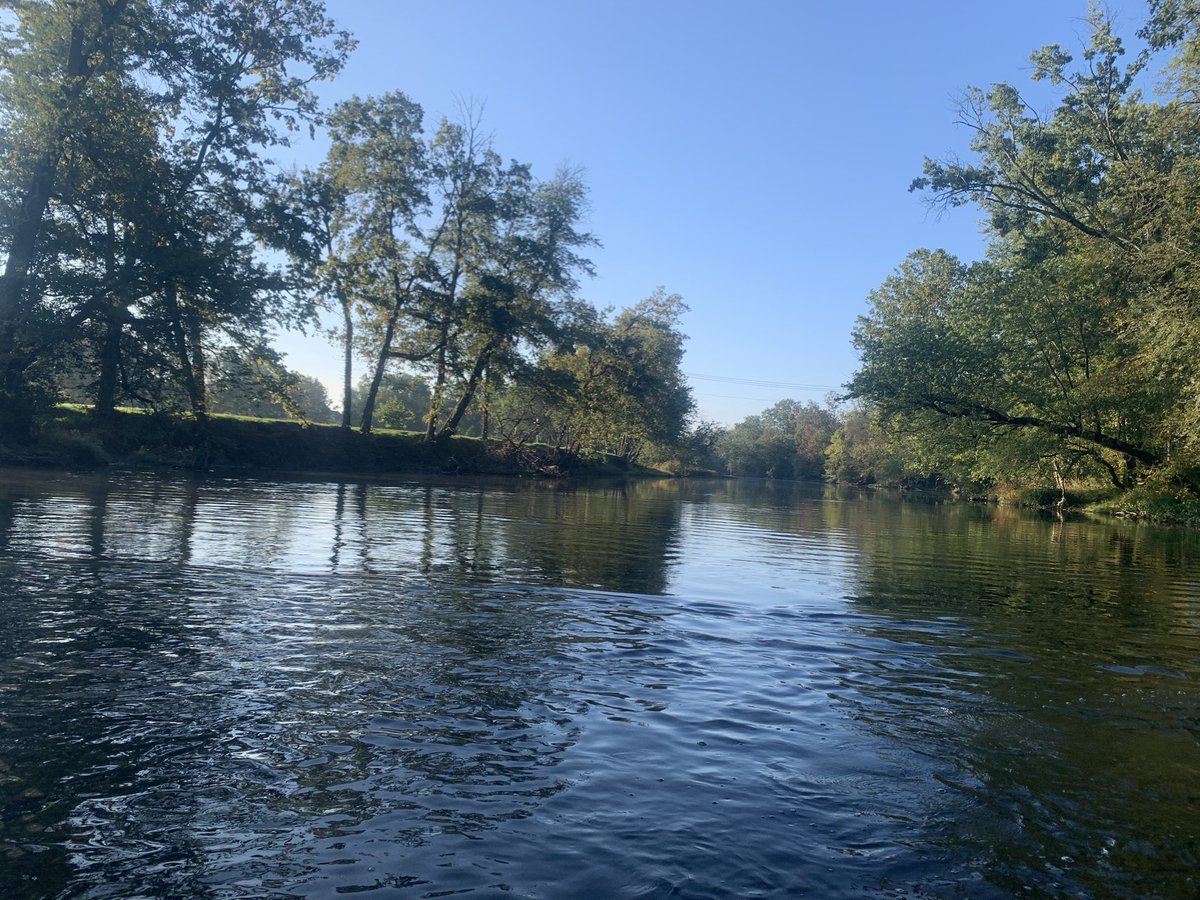 Luanne Steffy tweet media