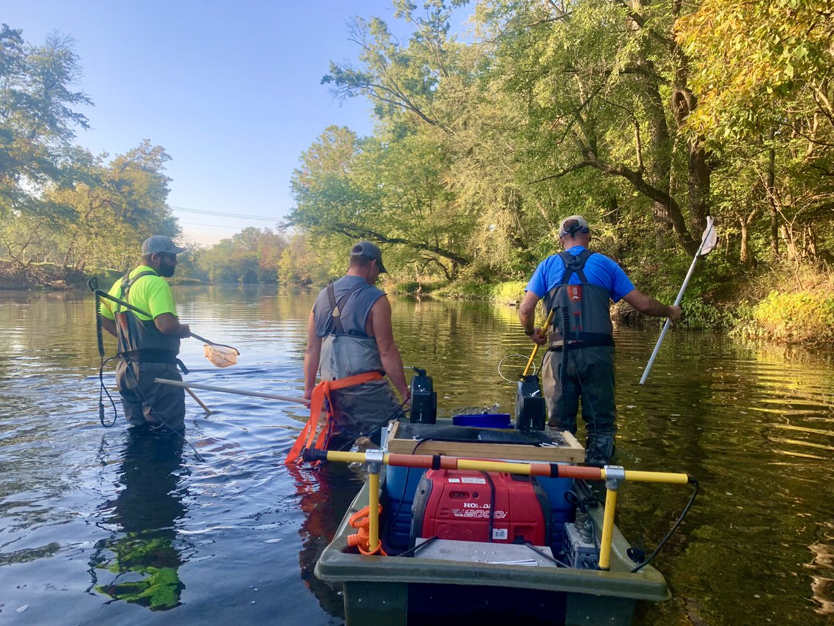 Luanne Steffy tweet media