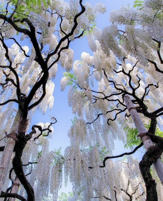 nutalapi's tweet image. tranquil