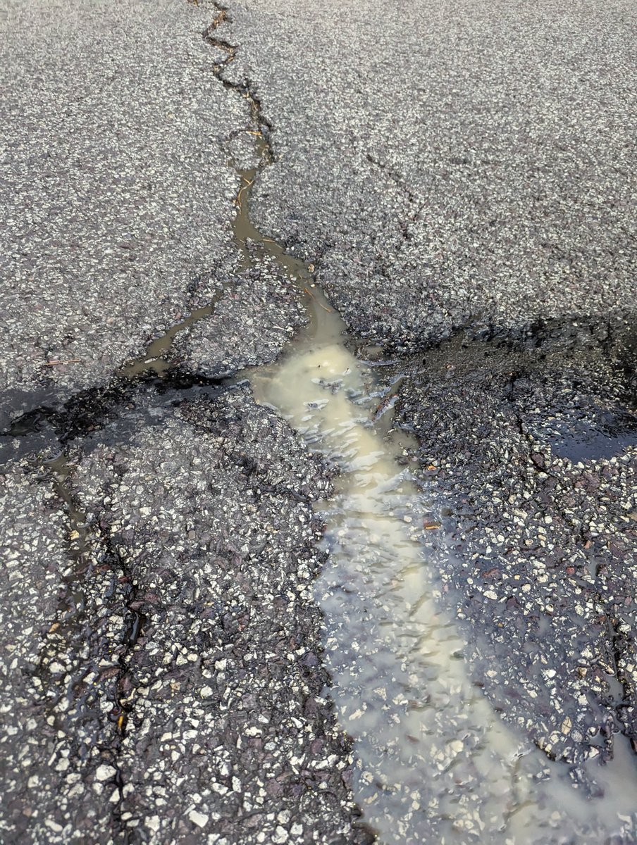 Robert Auch tweet media