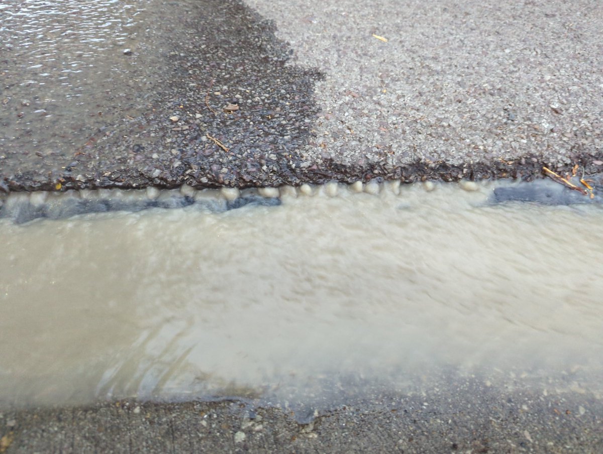 Robert Auch tweet media