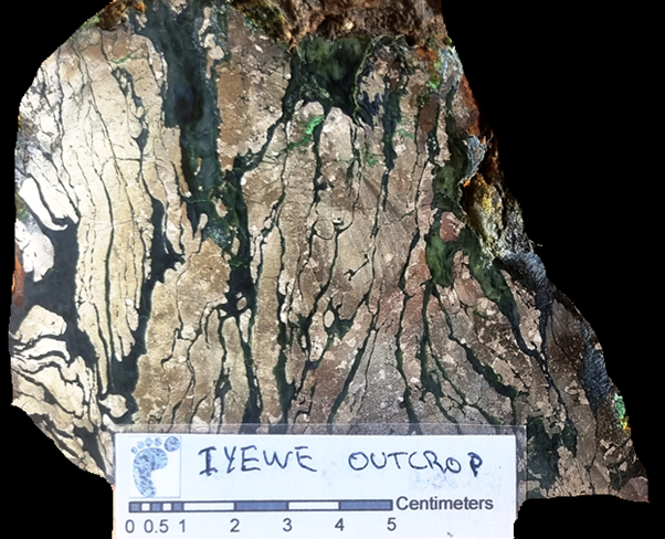 LclResources's tweet photo. Provided a Ni update this morning. Veri Veri is no longer our only hydrothermal high grade Ni sulphide target. See Today's ASX release.
https://t.co/TiSSc7yRLo https://t.co/9msZ89ICAS