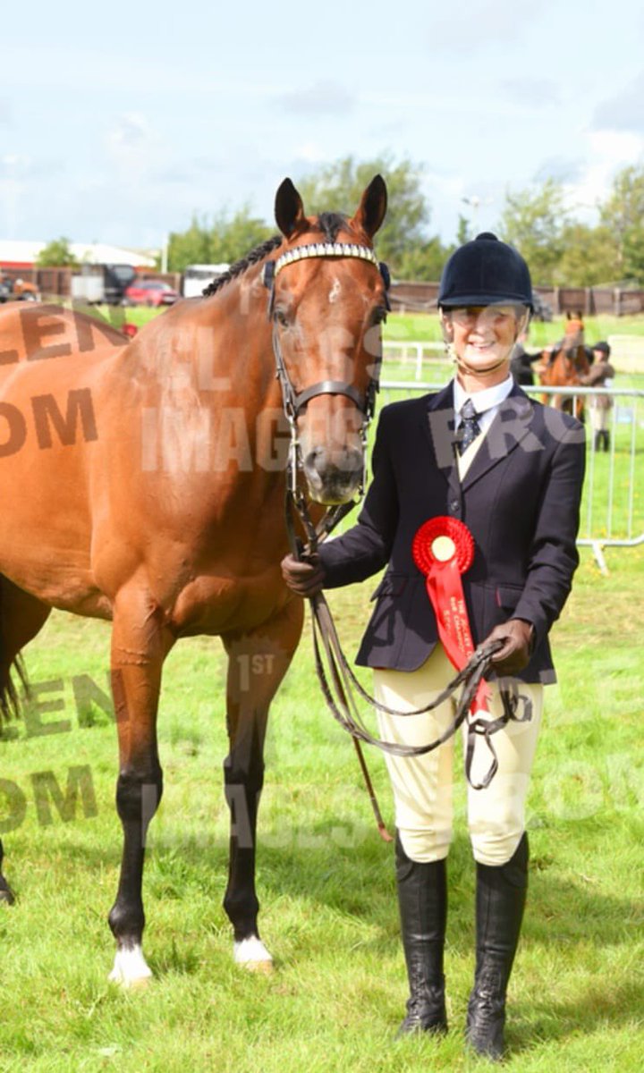 clivetitcomb's tweet photo. Kimberella goes well at Aintree ….RoR! 👏. Well done Denise, and Kimbo! 😎 https://t.co/eFFqHd9joD