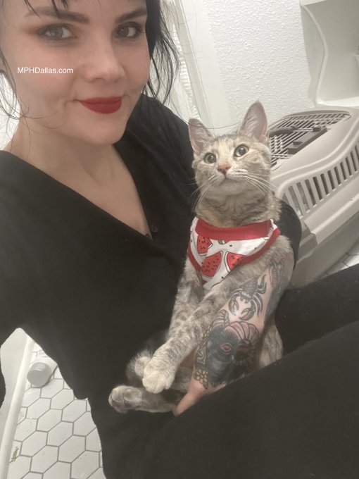 Day ten. She&rsquo;s been vaccinated, spayed, and microchipped. The vet gave her a little watermelon suit to