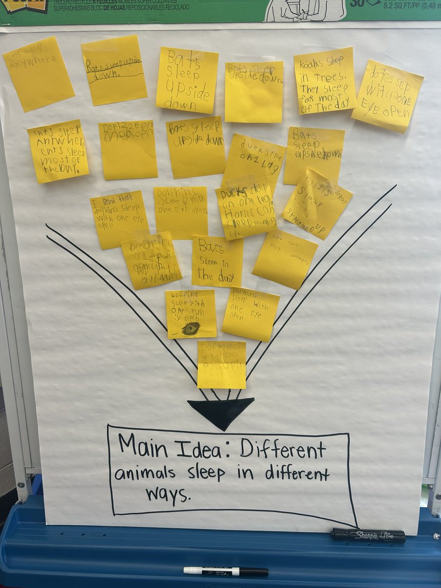First graders worked hard to find key details in order to determine the main idea of our text. We found that all our keys details had one thing in common…different ways that animals sleep! 📖 #112Leads #wt112