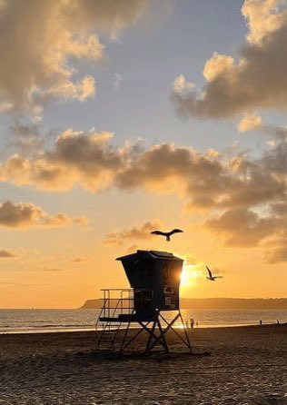 Seagull shenanigans on Coronado Beach. This fantastic photo was taken by Joshua Worthy. #seagulls #coronadobeach #lifeguard #coronadoisland #beach