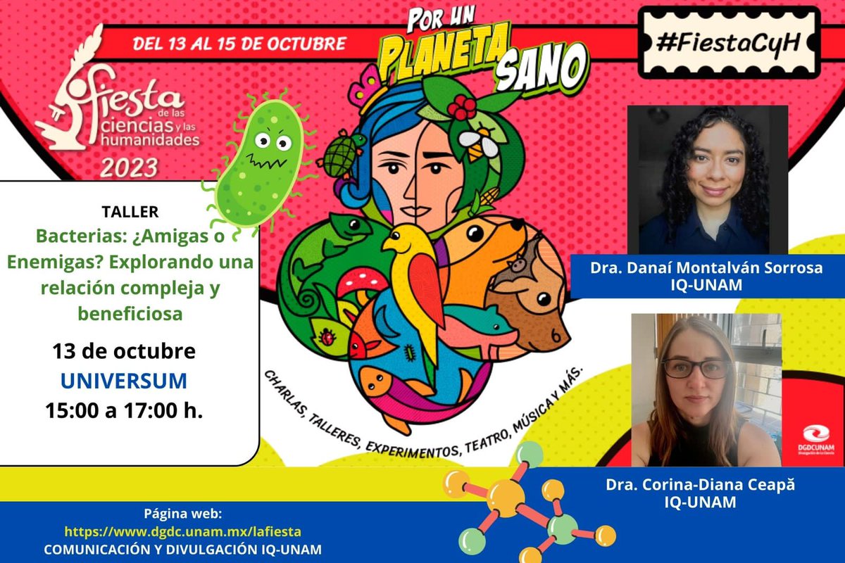 EnfoquesRAM's tweet photo. Asiste este 13 de octubre en punto de las 15:00 hrs al Universum, dónde la Dra. Danaí y la Dra. Corina impartirán un taller llamado "Bacterias: ¿Amigas o enemigas? Explorando una relación compleja y beneficiosa" #EnfoqueRAM #FiestaCyH https://t.co/3XSYk6D0Mm