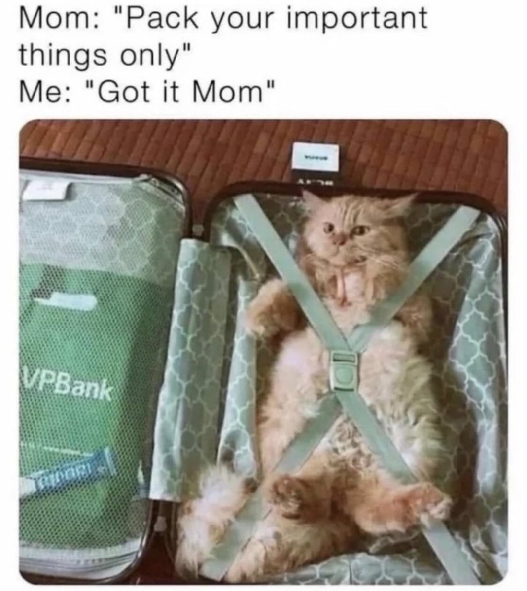 catshealdeprsn's tweet image. 