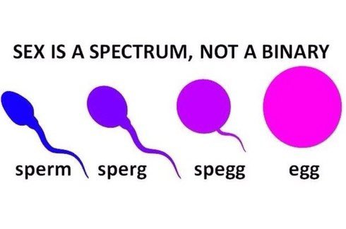 Loudoun_Lady's tweet photo. @EvanintheHaus @Hikarudaisuke1 @MrReality_sp @AriDrennen Let me know when this is real.

Until then, I’ll stick with the argument that Homo sapiens is a sexually dimorphic species and switching pronouns and hairstyles doesn’t change that. https://t.co/0S9dMBvdTN