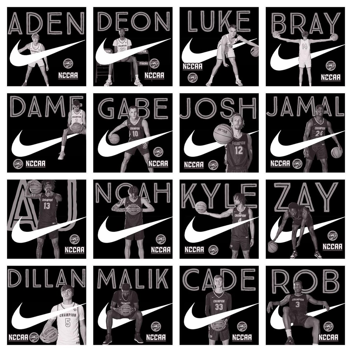 Champion Basketball tweet media