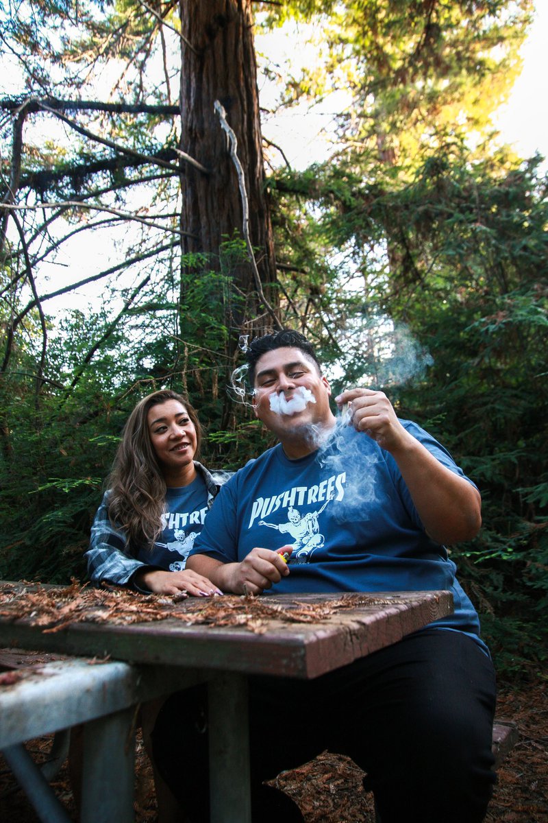 push_trees_'s tweet image. Sharing is caring 🫶 #pushtrees