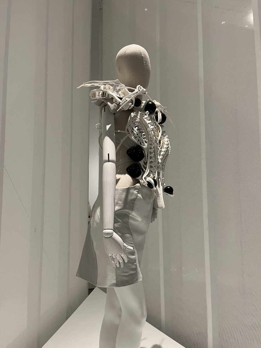 Michaela Samanta tweet media