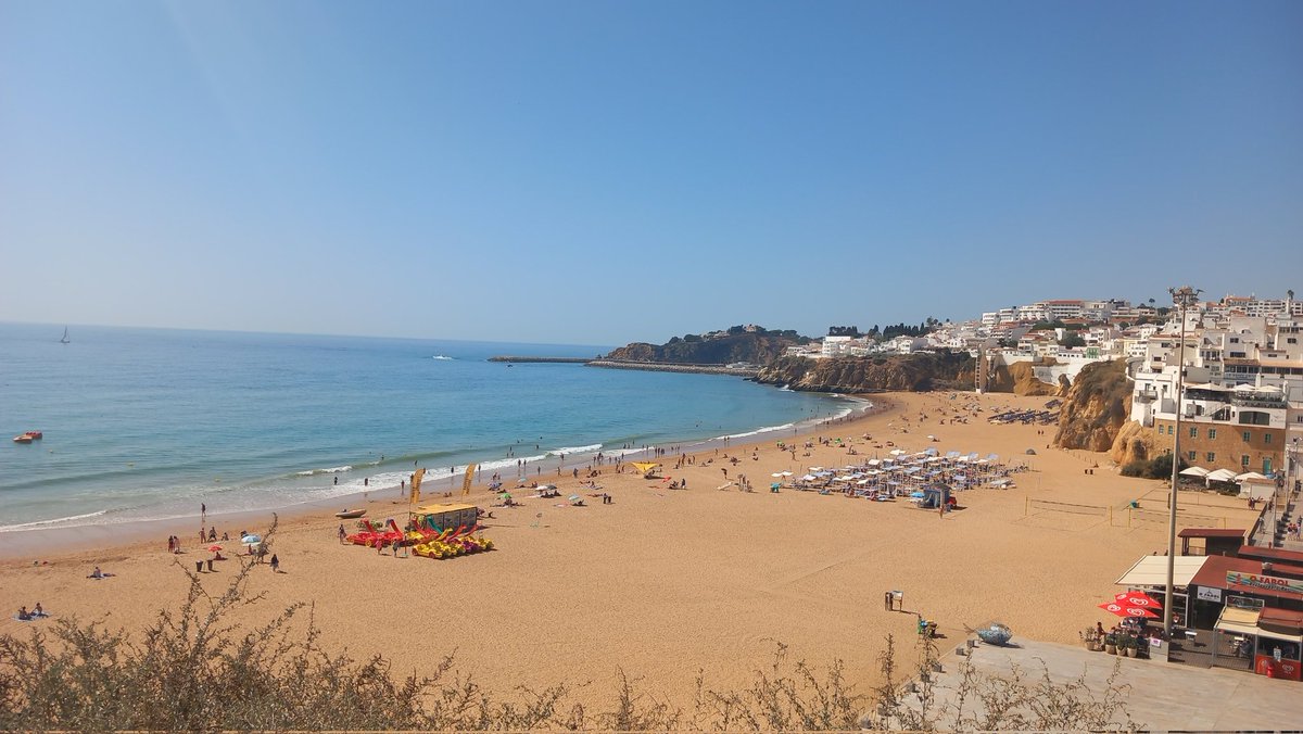 FfionRendall tweet media