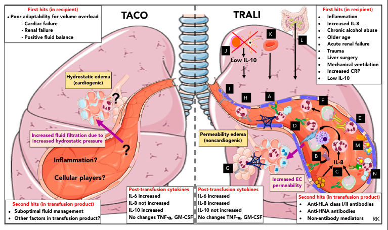 MHcsba's tweet photo. BLOOD 2019: TACO y TRALI
#MedEd #MedTwitter 
DOI:10.1182/blood-2018-10-860809. https://t.co/s1g6OVXO3l