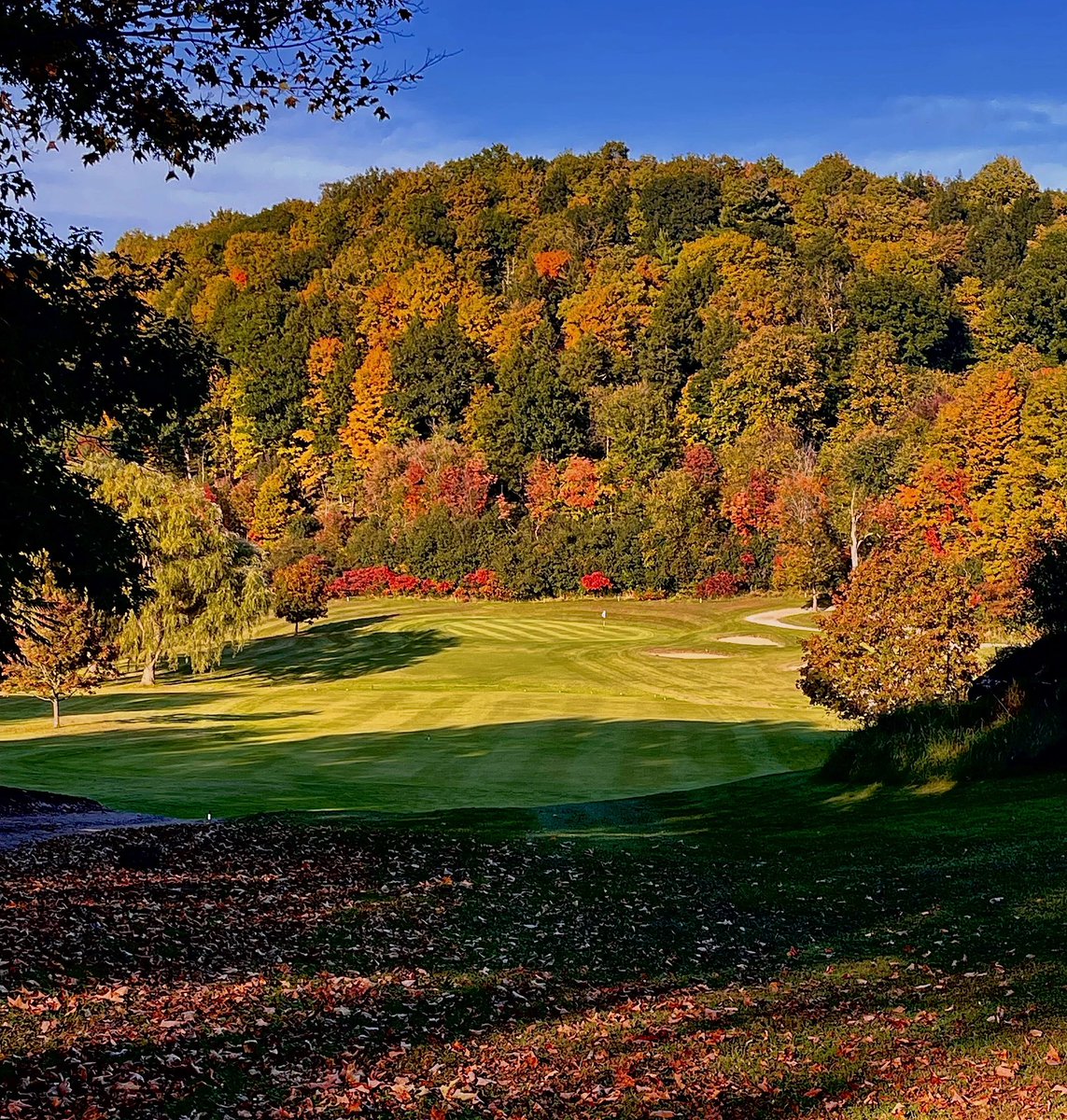 edcolemangolf's tweet photo. My closing shift teammate @miasehic, probably wondering where the hell I went?
.
#vt #vermont #golfinvt #vermontgolf #sundet #igers #newengland #autumn #foliage https://t.co/QORXPpEQL0