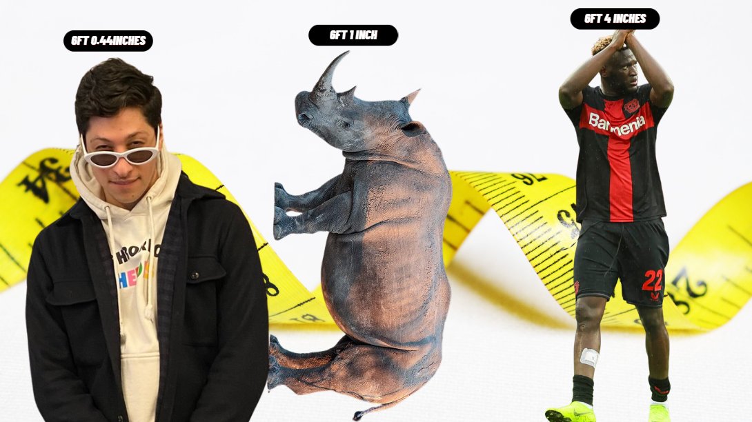 Did you know the best value SBC of FC 24, POTM Boniface is a Nigerian certified DAWG that is taller than the tallest Slatey and taller than a fully grown, male white rhino?

🚨LIVE NOW🚨

Come watch this giant cook in qualis🔥
twitch.tv/slaterac
twitch.tv/slaterac