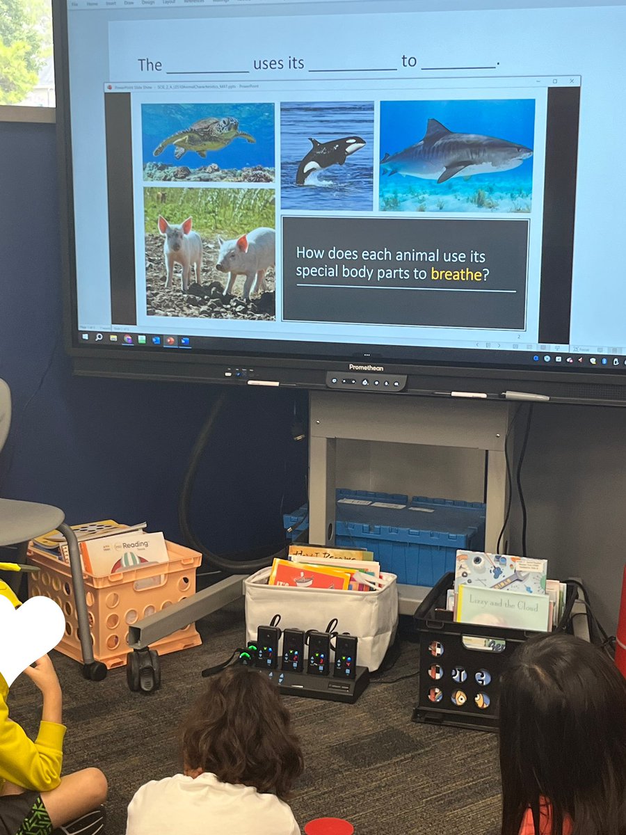 mrscoddsclass's tweet photo. Sentence stems to encourage participation! 🎉💪🏽 #secondgradescience https://t.co/vwud877gCU