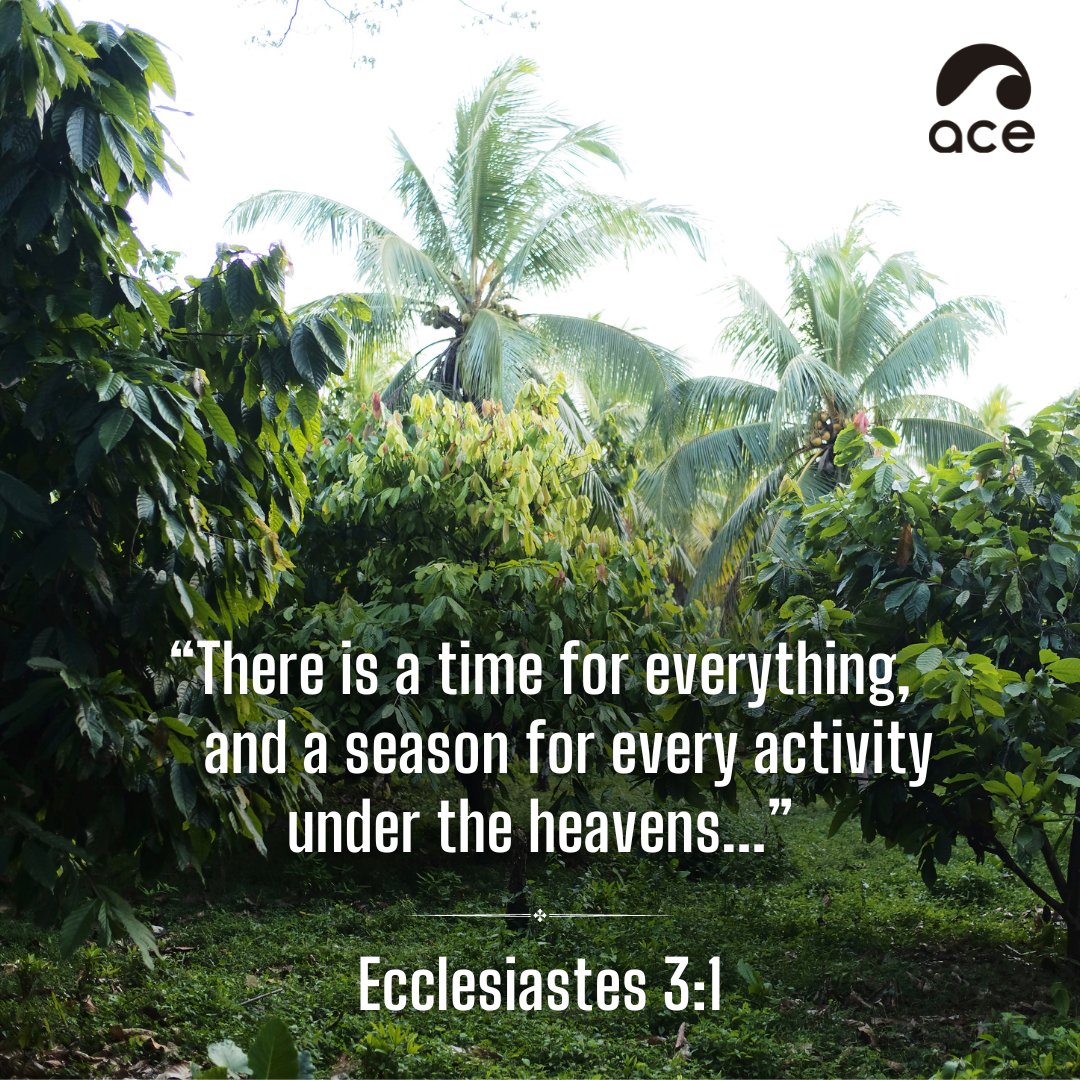 ACExperienceOrg's tweet image. It may not always be easy waiting on the Lord, but His timing proves to always be perfect time and time again. Praise God for His faithfulness and provision! 

#TimeForEverything #EmbraceTheSeasons #Ecclesiastes3