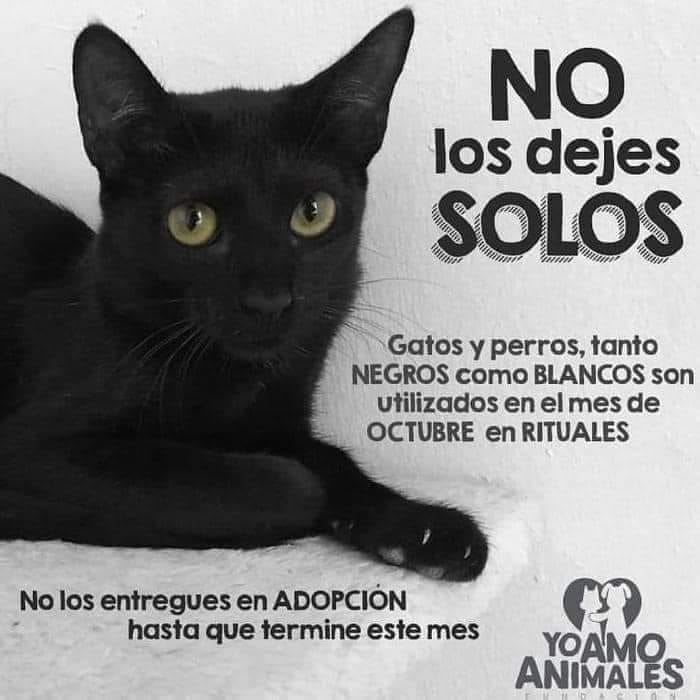 Maite (@maipardc) on Twitter photo 