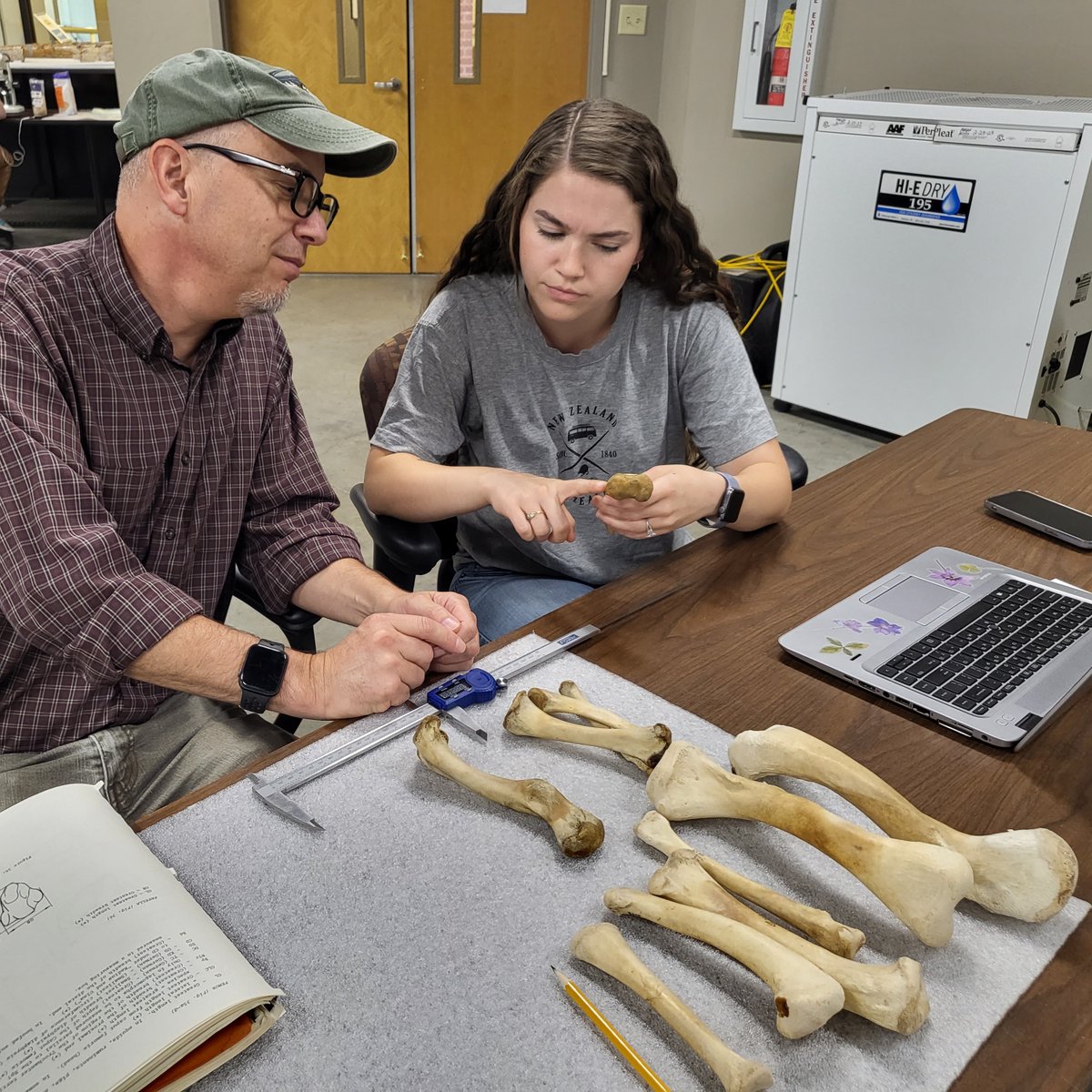 Gator research in progress!

Undergraduate student Maddie and Dr. Schubert are measuring modern alligator leg bones as part of research that will help scientists to better interpret alligator fossils, especially when only certain bones are preserved.
