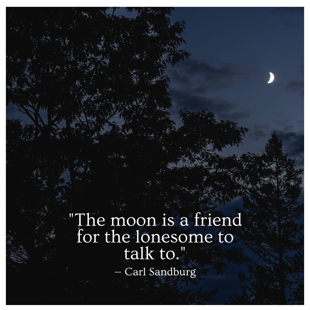 TribalMischief's tweet photo. "The moon is a friend for the lonesome to talk to."
— Carl Sandburg

#MoonlitMelancholy 🌙 #LonelyNightSky 🌌 #MoonGazingMagic ✨ #SolitudeUnderStars 🌟 #LunarLoneliness 🌒 #StarryIsolation 🌠 #MidnightSolace 🕰️ #MoonyMeditations 🌜 #AloneWithTheMoon 🌓 #SilentMoonMoments 🌌 https://t.co/nbQyUVzH9I