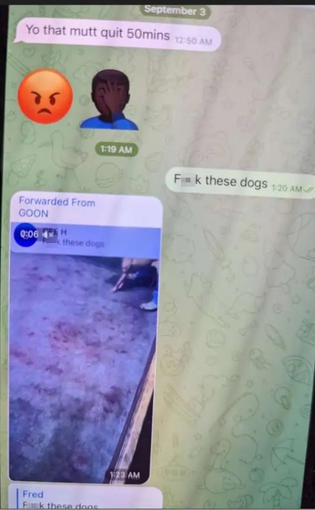 Breaking911's tweet photo. Senior Pentagon Official Ran Savage Dogfighting Ring, Executed Losing Dogs With Jumper Cables: Feds https://t.co/MzZImNU3Mv https://t.co/RVaYdEmOvG