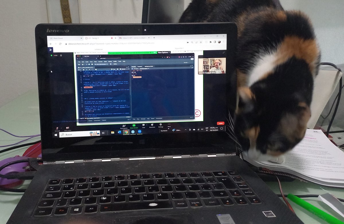 Hoy fue la primera sesión del curso R para Mortales con <a href="/DataCrunchersMx/">Data Crunchers</a>. ¡Gran clase! 🤓La felina Feymi también estuvo poniendo atención.