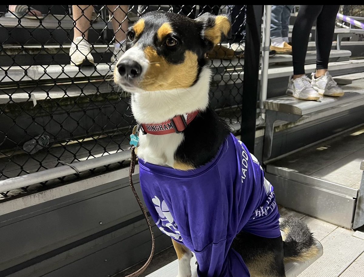 Maddie’s Promise tweet media