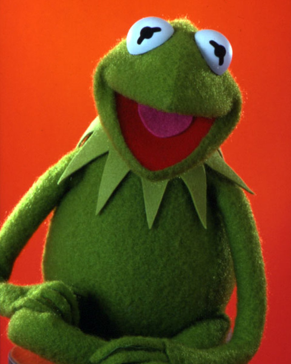 KermitTheFrog's tweet image. Fall is one of my very favorite seasons. I love when the leaves start changing color. They look beautiful, and when they turn brown, red, and orange it's easier for a little green frog like me to stand out!