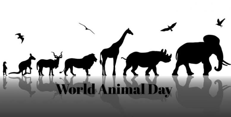 the_vet_univrse's tweet photo. World Animal Day is an annual event that is celebrated around the world on October 4. World Animal Day is an annual international event to celebrate animal welfare and rights. 
The theme of World Animal Day 2023 is "Big or small, we love them all".
#WorldAnimalDay https://t.co/5hUzw1G3Z0