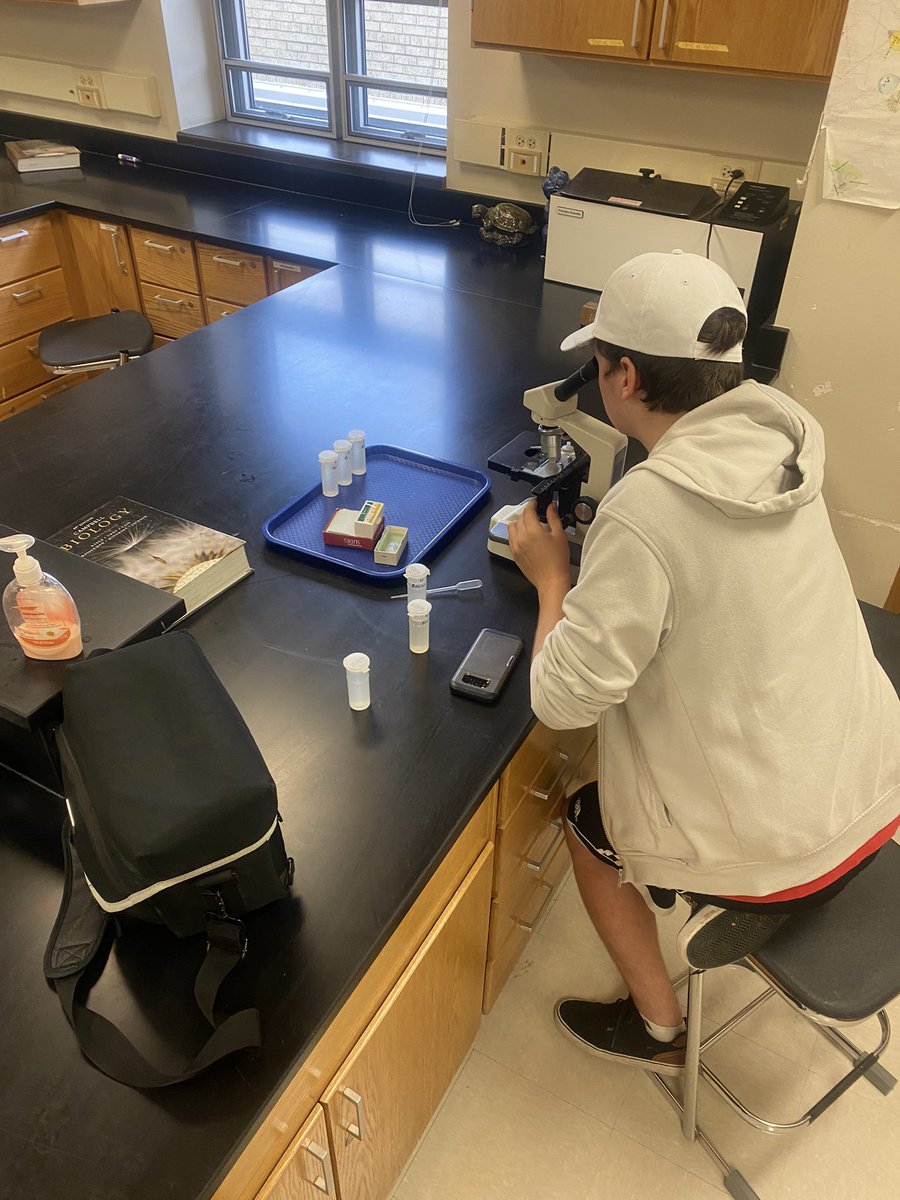 Laura Turngren tweet media