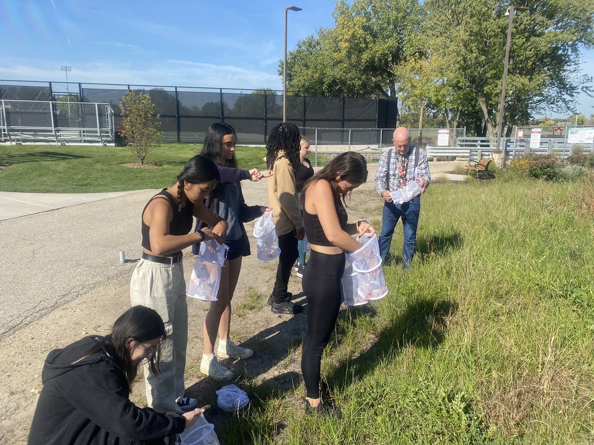 Laura Turngren tweet media