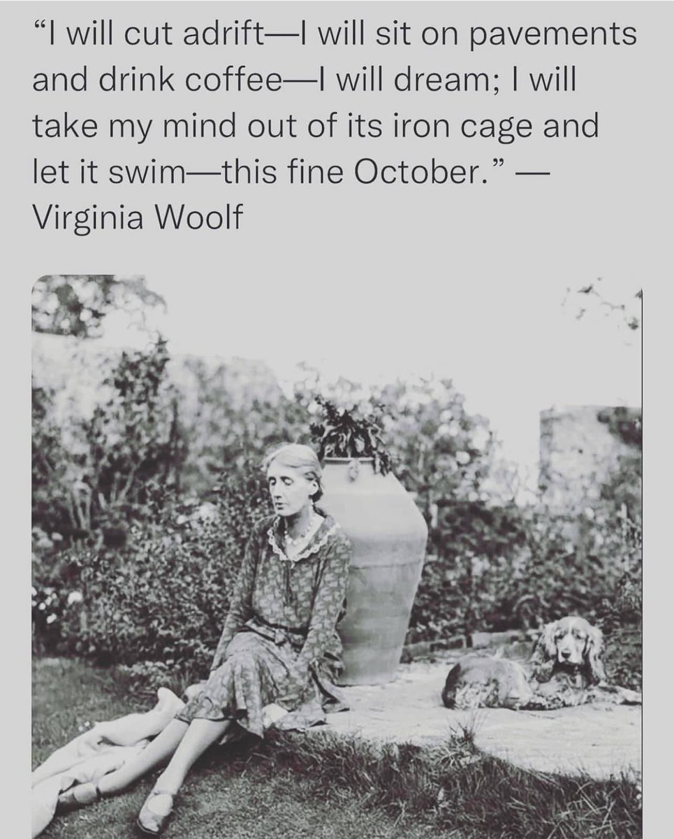 sarah smith tweet media