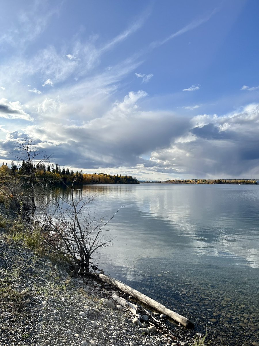 jenevaniew's tweet photo. Peak fall at the Glenmore Reservoir 🚴 #yycbike https://t.co/VbGUjVhy56