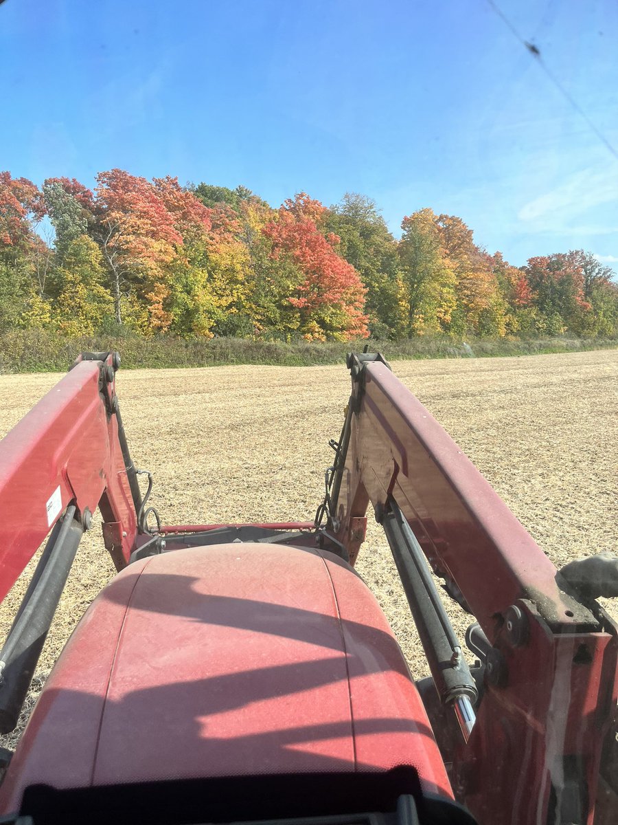 Amanda O'Connell tweet media