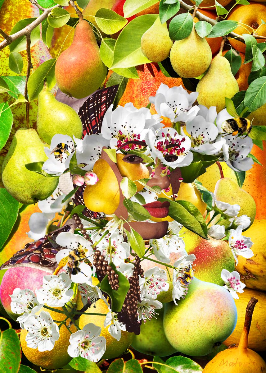 poemsthatkill's tweet photo. 𝙏𝙝𝙚 𝙎𝙖𝙣𝙘𝙩𝙪𝙢 𝙤𝙛 𝙖 𝘽𝙡𝙤𝙤𝙢 (2023) by Me 💐

inspired by the wondrous pear tree of 𝘛𝘩𝘦𝘪𝘳 𝘌𝘺𝘦𝘴 𝘞𝘦𝘳𝘦 𝘞𝘢𝘵𝘤𝘩𝘪𝘯𝘨 𝘎𝘰𝘥 🌟 https://t.co/dSaioez2RW