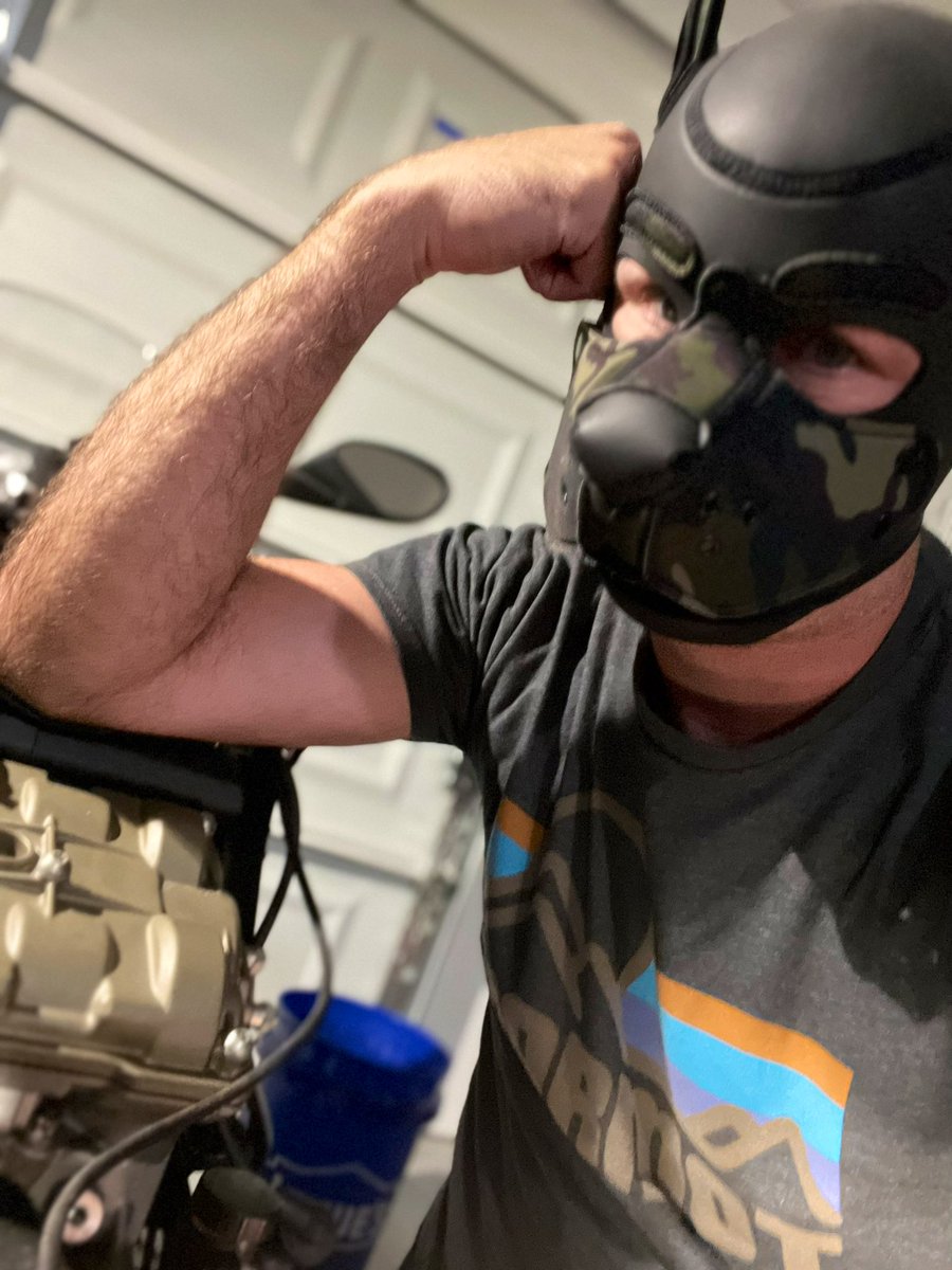 Pup Loki tweet media