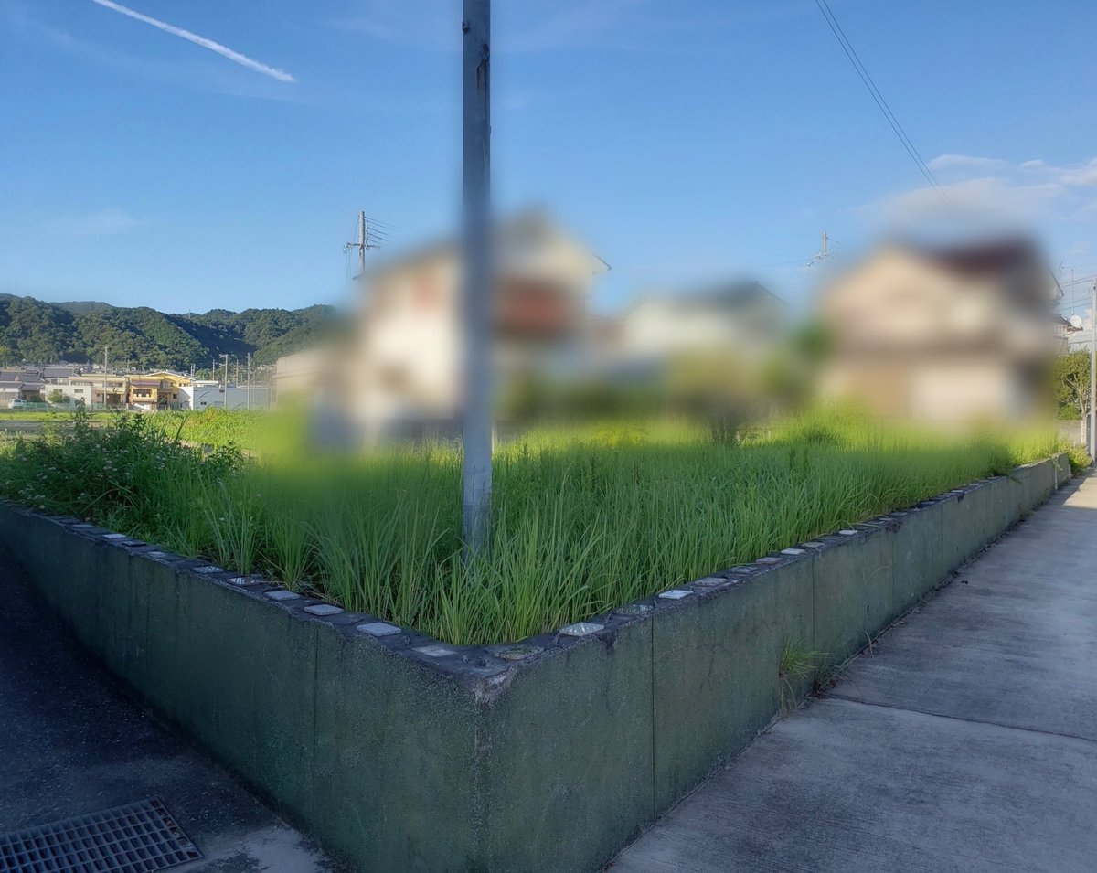 wakayamacurry's tweet photo. 当時の1998年の実家様子と
2021〜2023の実家跡地。

当時の落書きの跡がまだ少し残っていました。 https://t.co/8VX351tLbd
