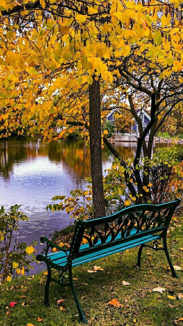 Ajnabee_pks8319's tweet photo. #SoCalm and Relaxing https://t.co/ezG8PTpBNz