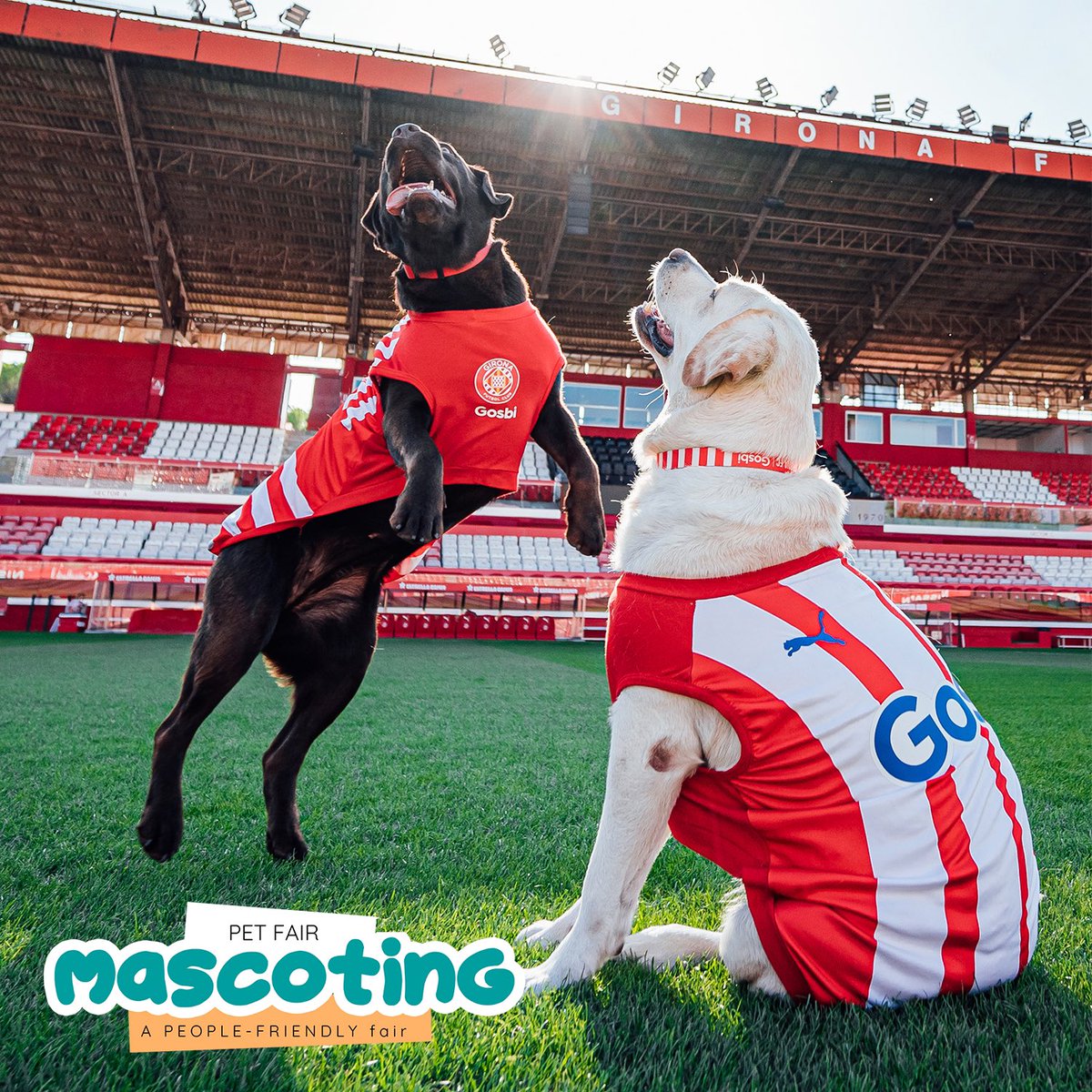 Mascoting tweet media