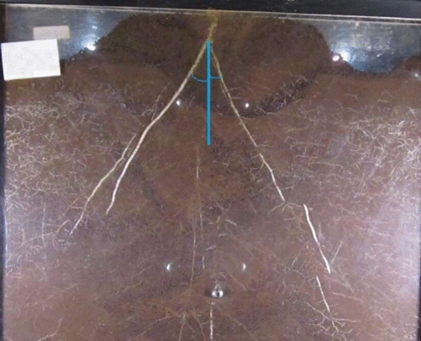 TheorApplGenet's tweet photo. Genetic variation of root architecture in over 1500 Ethiopian sorghum landraces quantified.

https://t.co/vZ7caVpkPc https://t.co/RvuNlPizZL