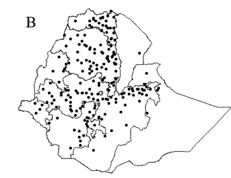 TheorApplGenet's tweet photo. Genetic variation of root architecture in over 1500 Ethiopian sorghum landraces quantified.

https://t.co/vZ7caVpkPc https://t.co/RvuNlPizZL
