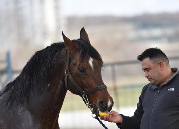 Yaşamımızı paylaştığımız sessiz dostlarımızın hakları ile ilgili çalışmaların artmasını diliyor,

#4EkimHayvanlarıKorumaGünü nü kutluyorum.